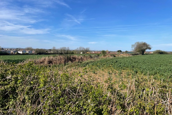 The development site at Frog Lane where Edward Ware Homes Ltd wants to build 860 homes